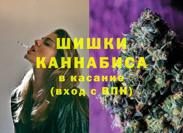 стаф Тихвин