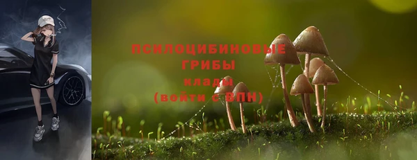 гашишное масло Алексеевка