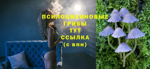 стафф Алзамай