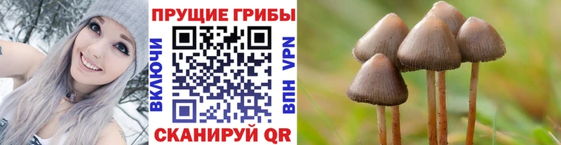 Галлюциногенные грибы мицелий  Чадан 
